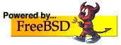 Rapidsite�z�X�e�B���O�v����